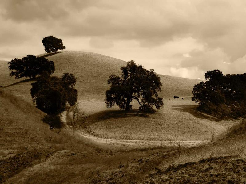 sudoku pointing pairs screenshot 6